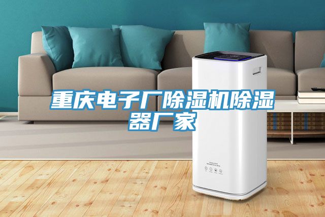 重慶電子廠小黄片软件免费下载除濕器廠家