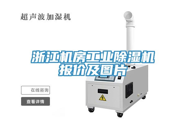 浙江機房工業小黄片软件免费下载報價及圖片