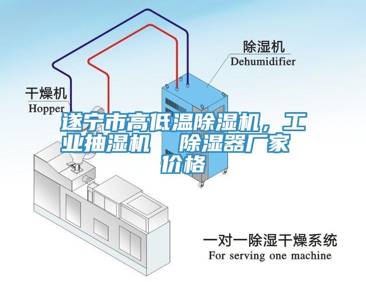 遂寧市高低溫小黄片软件免费下载，工業抽濕機  除濕器廠家 價格