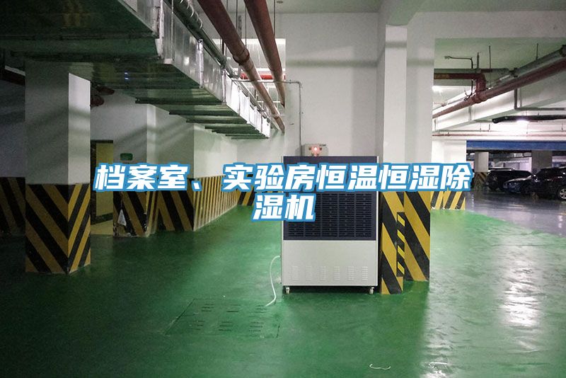檔案室、實驗房恒溫恒濕小黄片软件免费下载