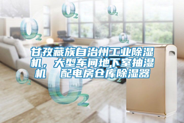 甘孜藏族自治州工業小黄片软件免费下载，大型車間地下室抽濕機  配電房倉庫除濕器