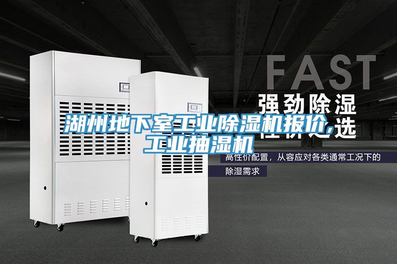 湖州地下室工業小黄片软件免费下载報價,工業抽濕機