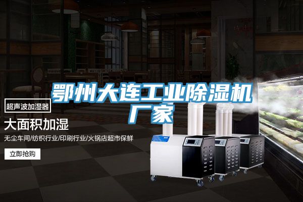 鄂州大連工業小黄片软件免费下载廠家