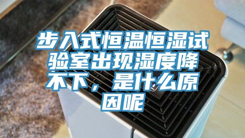 步入式恒溫恒濕試驗室出現濕度降不下，是什麽原因呢