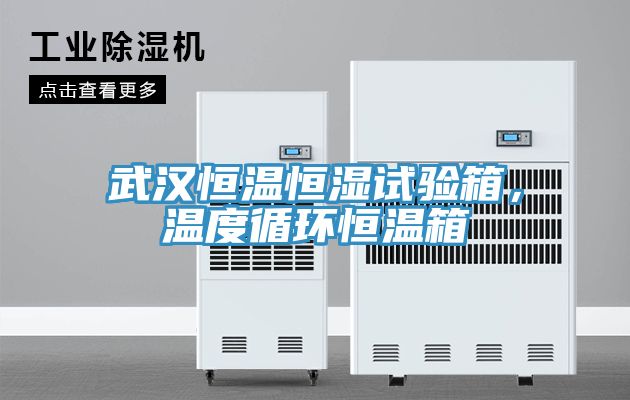 武漢恒溫恒濕試驗箱，溫度循環恒溫箱