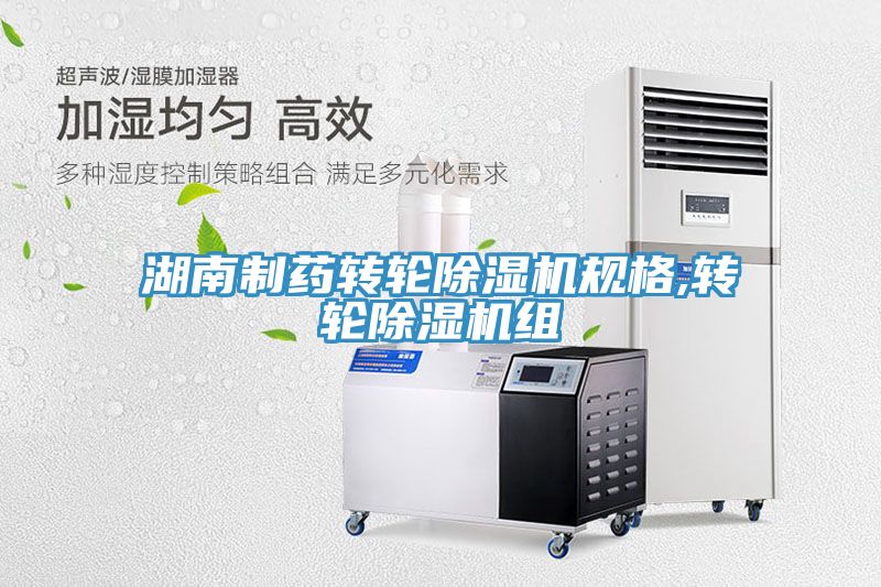 湖南製藥轉輪小黄片软件免费下载規格,轉輪小黄片软件免费下载組