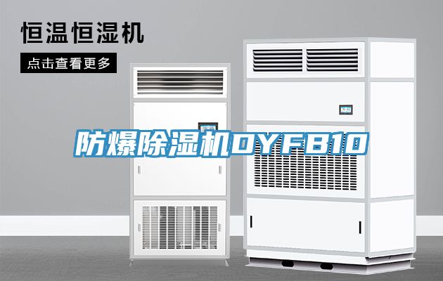 防爆小黄片软件免费下载DYFB10