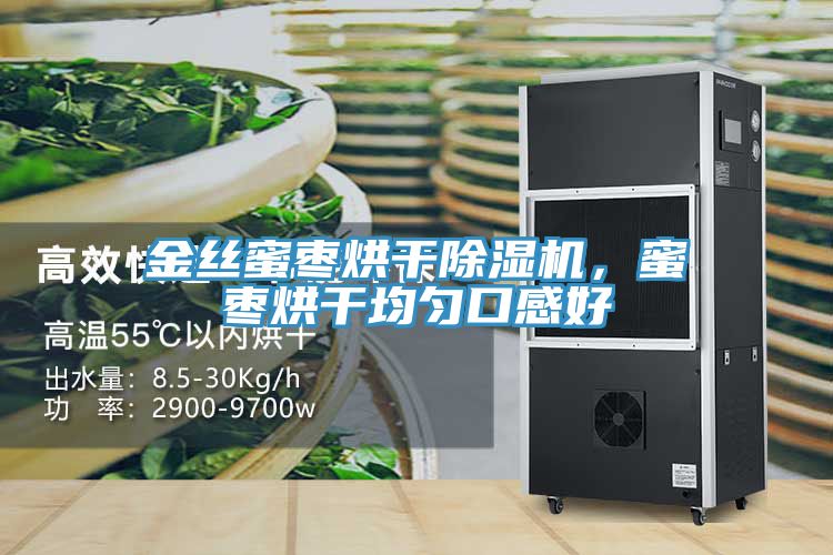 金絲蜜棗烘幹小黄片软件免费下载，蜜棗烘幹均勻口感好