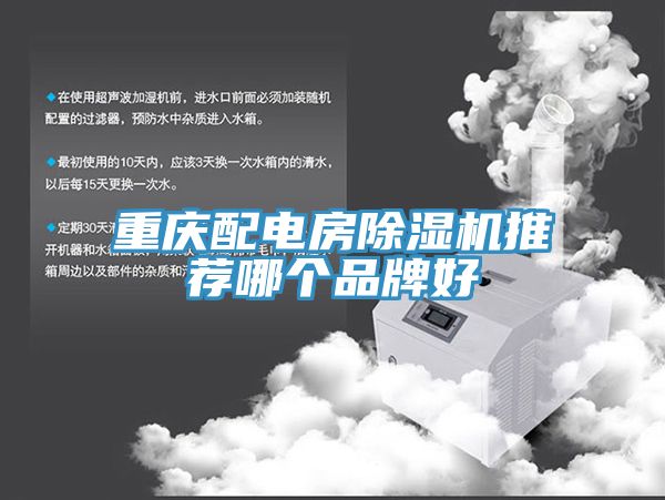 重慶配電房小黄片软件免费下载推薦哪個品牌好
