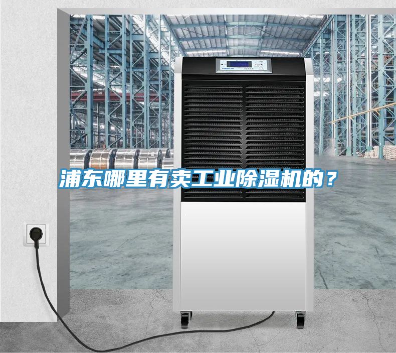 浦東哪裏有賣工業小黄片软件免费下载的？