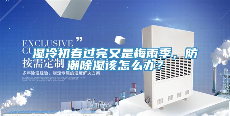濕冷初春過完又是梅雨季，防潮除濕該怎麽辦？