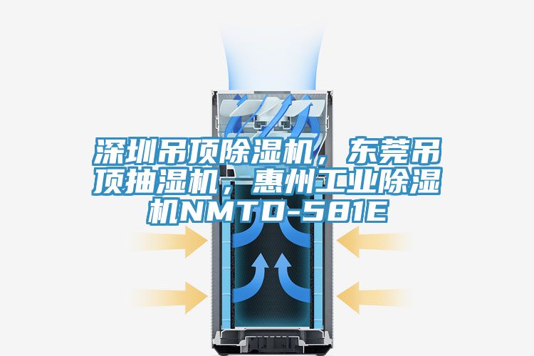 深圳吊頂小黄片软件免费下载，東莞吊頂抽濕機，惠州工業小黄片软件免费下载NMTD-581E
