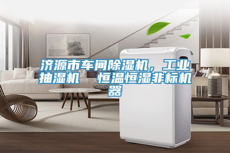 濟源市車間小黄片软件免费下载，工業抽濕機  恒溫恒濕非標機器