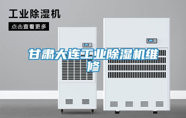 甘肅大連工業小黄片软件免费下载維修