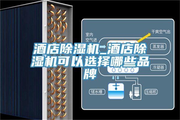 酒店小黄片软件免费下载_酒店小黄片软件免费下载可以選擇哪些品牌