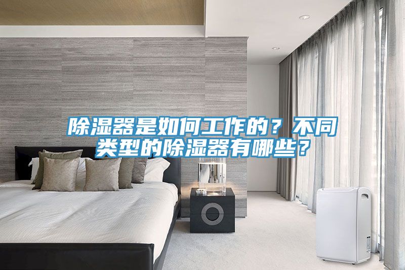 除濕器是如何工作的？不同類型的除濕器有哪些？
