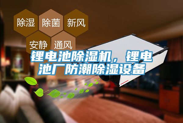 鋰電池小黄片软件免费下载，鋰電池廠防潮除濕設備