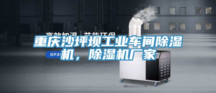 重慶沙坪壩工業車間小黄片软件免费下载，小黄片软件免费下载廠家