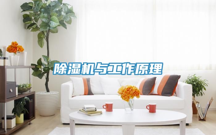 小黄片软件免费下载與工作原理