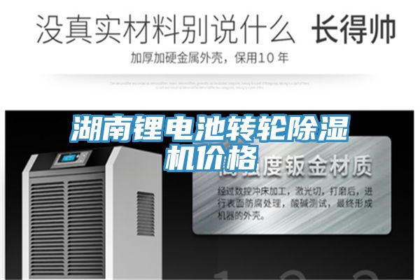 湖南鋰電池轉輪小黄片软件免费下载價格