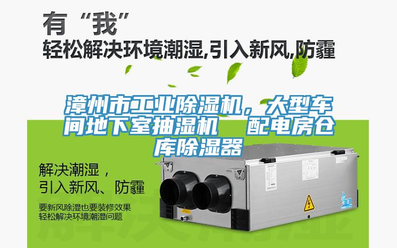 漳州市工業小黄片软件免费下载，大型車間地下室抽濕機  配電房倉庫除濕器