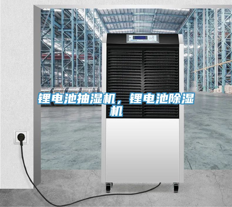 鋰電池抽濕機，鋰電池小黄片软件免费下载