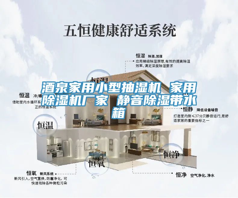 酒泉家用小型抽濕機 家用小黄片软件免费下载廠家 靜音除濕帶水箱