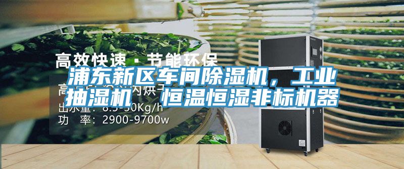 浦東新區車間小黄片软件免费下载，工業抽濕機  恒溫恒濕非標機器