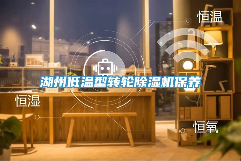 湖州低溫型轉輪小黄片软件免费下载保養