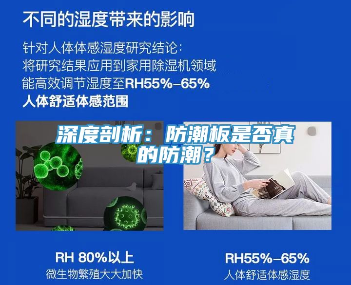 深度剖析：防潮板是否真的防潮？
