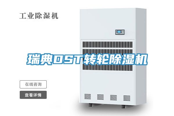 瑞典DST轉輪小黄片软件免费下载