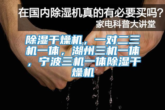 除濕幹燥機，一對二三機一體，湖州三機一體，寧波三機一體除濕幹燥機