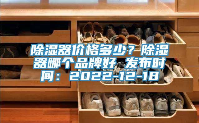除濕器價格多少？除濕器哪個品牌好 發布時間：2022-12-18