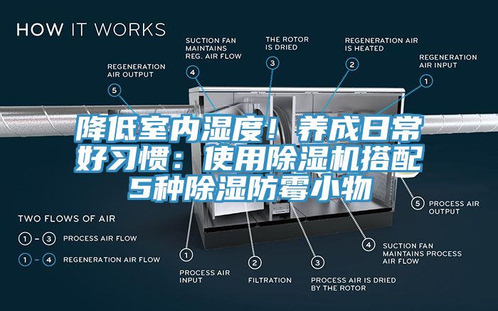 降低室內濕度！養成日常好習慣：使用小黄片软件免费下载搭配5種除濕防黴小物