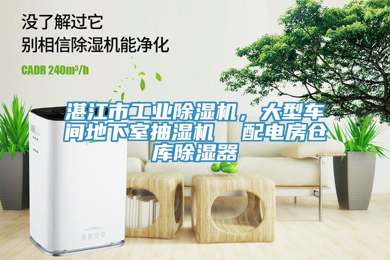 湛江市工業小黄片软件免费下载，大型車間地下室抽濕機  配電房倉庫除濕器