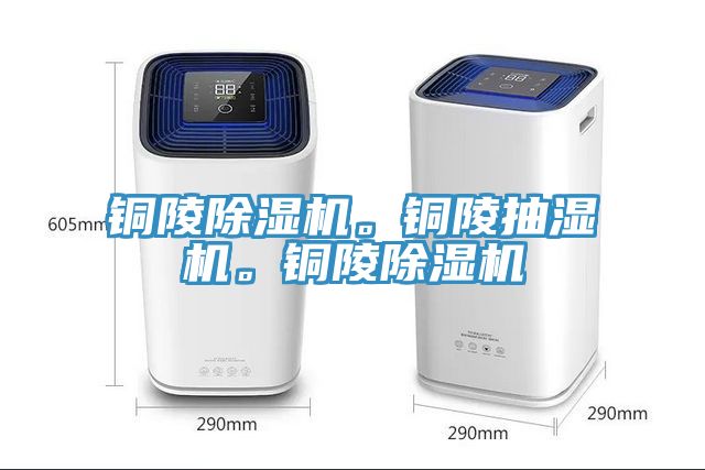 銅陵小黄片软件免费下载。銅陵抽濕機。銅陵小黄片软件免费下载