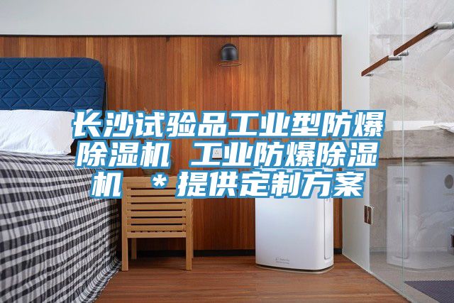 長沙試驗品工業型防爆小黄片软件免费下载 工業防爆小黄片软件免费下载 ＊提供定製方案