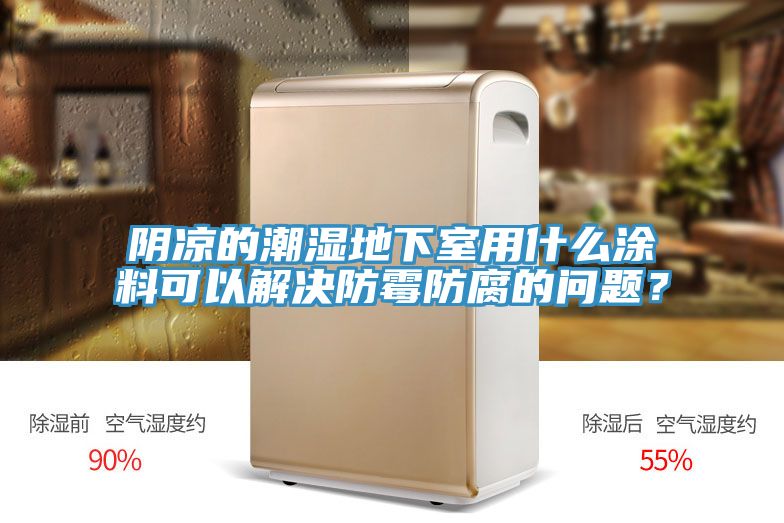 陰涼的潮濕地下室用什麽塗料可以解決防黴防腐的問題？