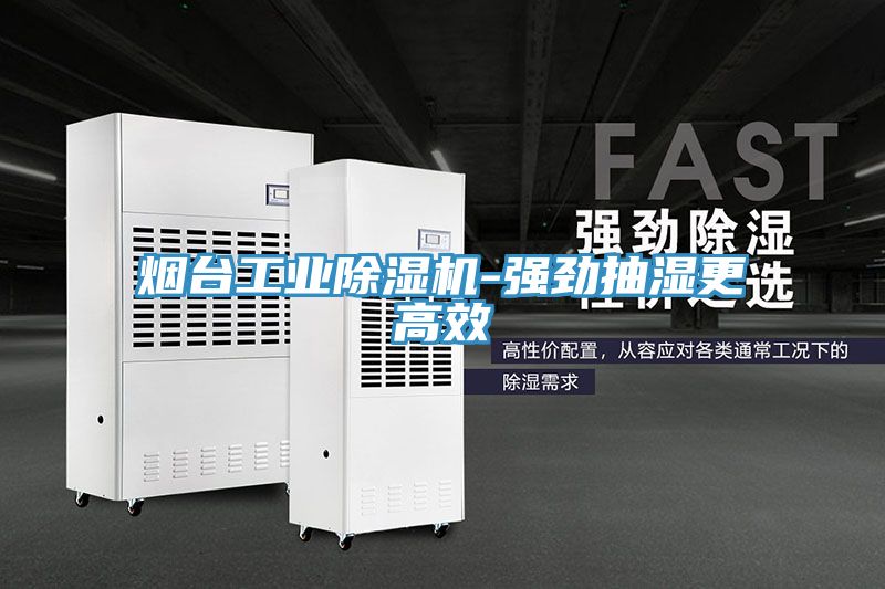 煙台工業小黄片软件免费下载-強勁抽濕更高效
