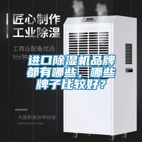 進口小黄片软件免费下载品牌都有哪些，哪些牌子比較好？