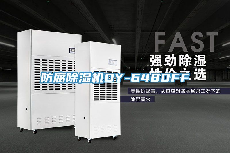 防腐小黄片软件免费下载DY-6480FF