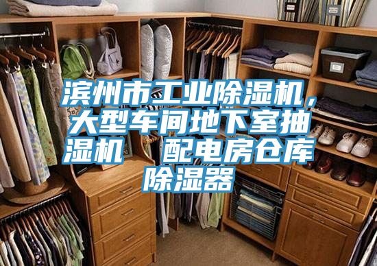 濱州市工業小黄片软件免费下载，大型車間地下室抽濕機  配電房倉庫除濕器