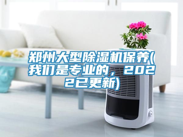 鄭州大型小黄片软件免费下载保養(小黄片怎么下载是專業的，2022已更新)