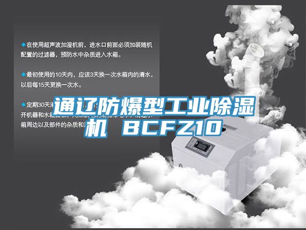 通遼防爆型工業小黄片软件免费下载 BCFZ10