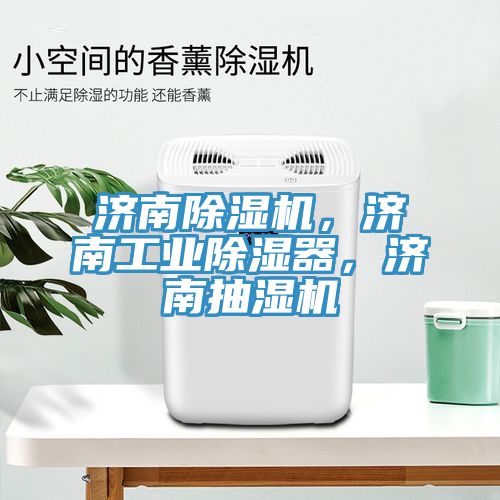 濟南小黄片软件免费下载，濟南工業除濕器，濟南抽濕機