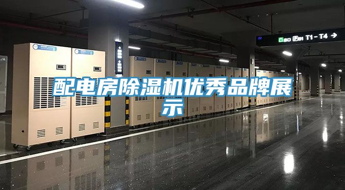 配電房小黄片软件免费下载優秀品牌展示