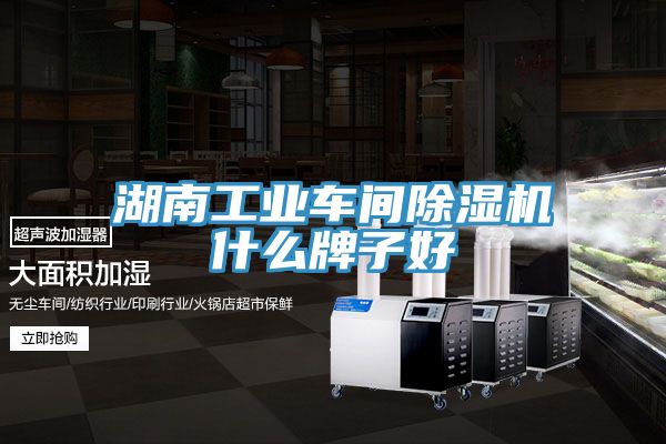 湖南工業車間小黄片软件免费下载什麽牌子好