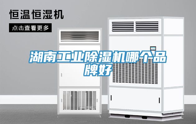 湖南工業小黄片软件免费下载哪個品牌好