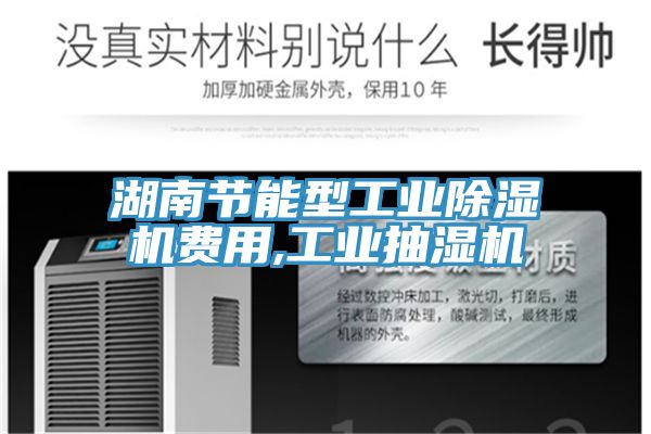 湖南節能型工業小黄片软件免费下载費用,工業抽濕機