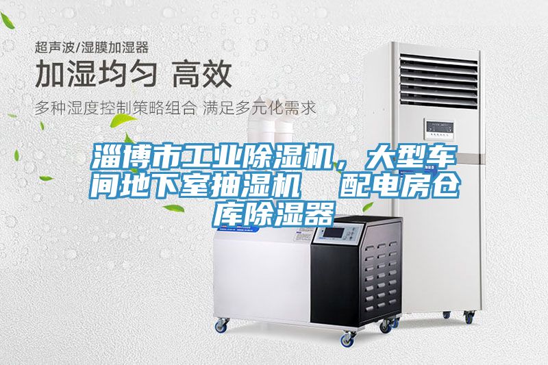 淄博市工業小黄片软件免费下载，大型車間地下室抽濕機  配電房倉庫除濕器